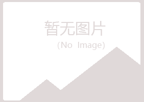 白银平川书翠化学有限公司